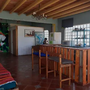  Hostal Enjoy Vallarta 19